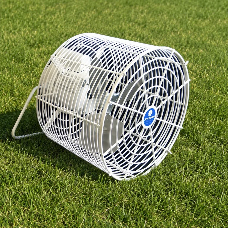 Portable Fan